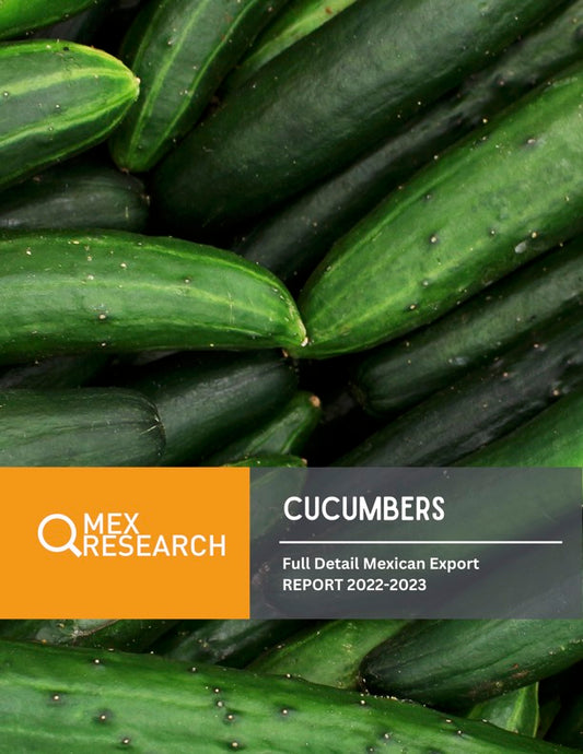 Cucumber Exportation Full Report